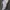Adidas Streetwear Sportswear Sneakers Pria White