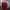 Y2k hat cross red women  photo 1