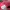 Sportswear Casual Sneakers Pria red photo 8