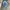 BUCKAROO CARGO BLUE JEANS photo 9