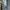 BUCKAROO CARGO BLUE JEANS photo 2