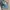 BUCKAROO CARGO BLUE JEANS photo 6
