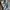 BUCKAROO CARGO BLUE JEANS photo 7