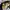 Rick And Morty pattern Snappback photo 8