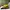 Rick And Morty Pattern Snappback