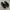Converse Navy Shoes photo 4