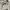 Adidas Casual Track jacket Pria gray photo 2