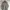 Adidas Casual Track Jacket Pria Gray