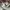 Adidas Casual Track jacket Pria gray photo 3