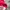 Piko Red Tshirt photo 4