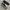 Airwalk Gray Shoes photo 1