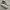 Airwalk White Shoes photo 1