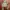 🖤 Turtleneck Crop Top Colorbox – Basic but Bold photo 1