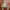 🖤 Turtleneck Crop Top Colorbox – Basic But Bold