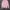 Uspa Assn Sweater Knit baby pink photo 1