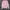 Uspa Assn Sweater Knit Baby Pink