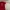 BUNDLE 2 JERSEY ORIGINAL MAN UTD & PSG SUPPORTER photo 3
