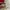 BUNDLE 2 JERSEY ORIGINAL MAN UTD & PSG SUPPORTER photo 2