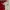 BUNDLE 2 JERSEY ORIGINAL MAN UTD & PSG SUPPORTER photo 1
