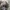 Nike Air Jordan 4 White grey photo 4