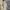 MARIPOSA KOREAN STYLE VINTAGE MIDI DRESS  photo 1