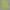 Casual Polo shirt Pria green photo 5