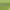 Casual Polo shirt Pria green photo 3