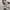 See by Chloe Off-White Joan Bag photo 8