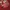 Vintage Sweatshirt Pria red photo 2