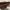Tory Burch Luxury Casual Crossbody Bag Wanita brown photo 6