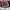 Coach Vintage Y2K Shoulder bag Wanita brown photo 8