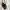 Coach Vintage Y2K Shoulder bag Wanita brown photo 6