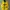 YELLOW GRAPHIC HOODIE photo 1