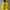 YELLOW GRAPHIC HOODIE