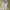 LAVENDER DISNEY MICKEY HOODIE HNM photo 1
