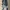 ZARA KIDS LOONEY TUNES BUGS BUNNY JOGGERS SWEATPANTS photo 1
