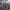 Exports - Bagpack (Grey - Mint - Purple)  photo 2