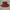 Maroon Flare Skirt photo 1