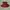 Maroon Flare Skirt