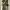 Uniqlo Wide Leg Baggy Pants photo 4