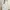 Zara White Maxi Dress photo 2