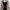Zara Woman Houndstooth Outer photo 2