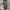 New Balance M1906RPB Polka dot photo 2