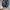 New Balance M1906RPB Polka dot photo 6