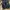New Balance M1906RPB Polka dot photo 5