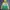 Adidas Vintage Sportswear Windbreaker Pria yellow green photo 1