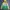 Adidas Vintage Sportswear Windbreaker Pria Yellow Green