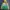 Adidas Vintage Sportswear Windbreaker Pria yellow green photo 2