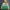 Adidas Vintage Sportswear Windbreaker Pria Yellow Green
