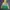 Adidas Vintage Sportswear Windbreaker Pria yellow green photo 4